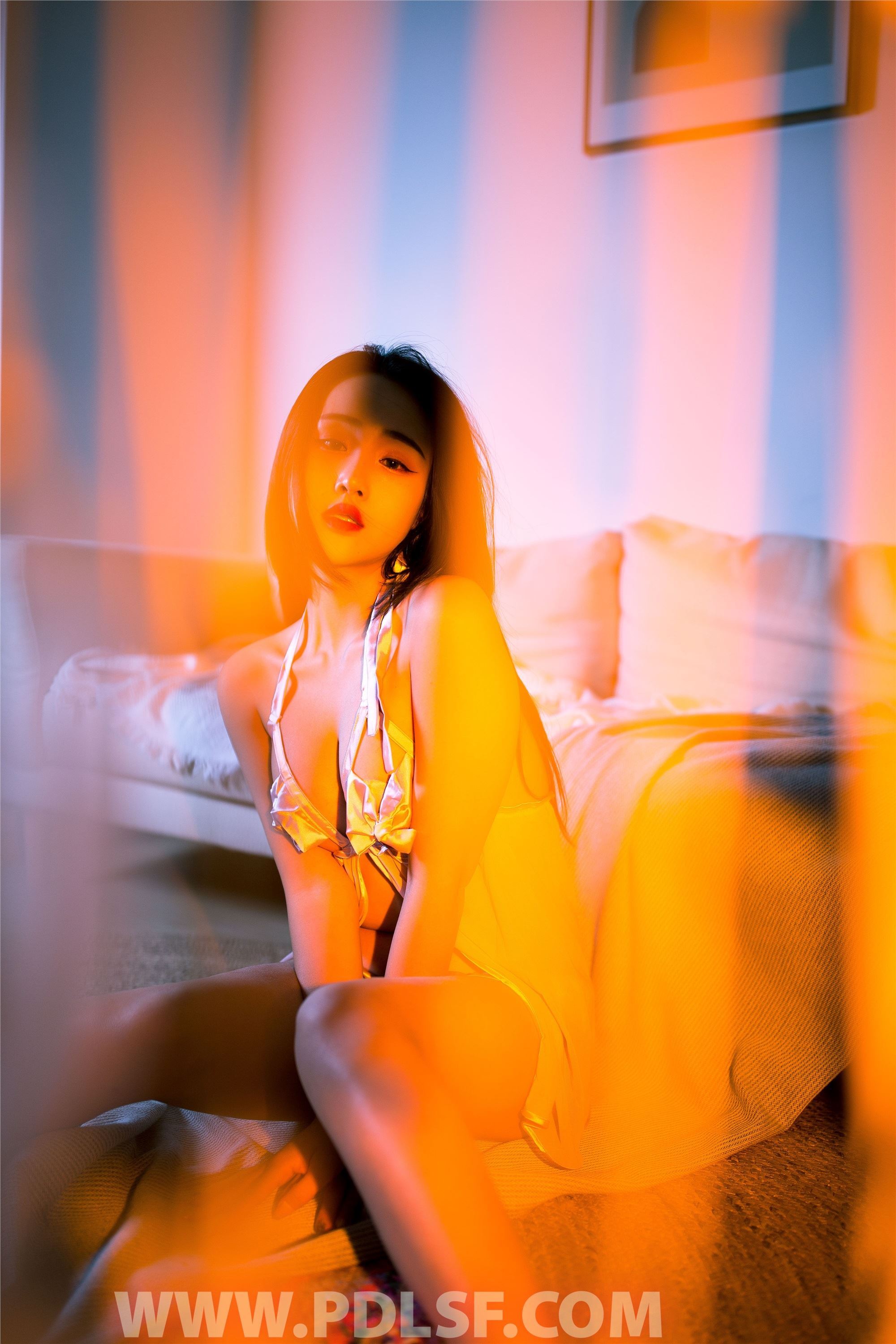 PDL潘多拉 2020.01.10 专辑No.265